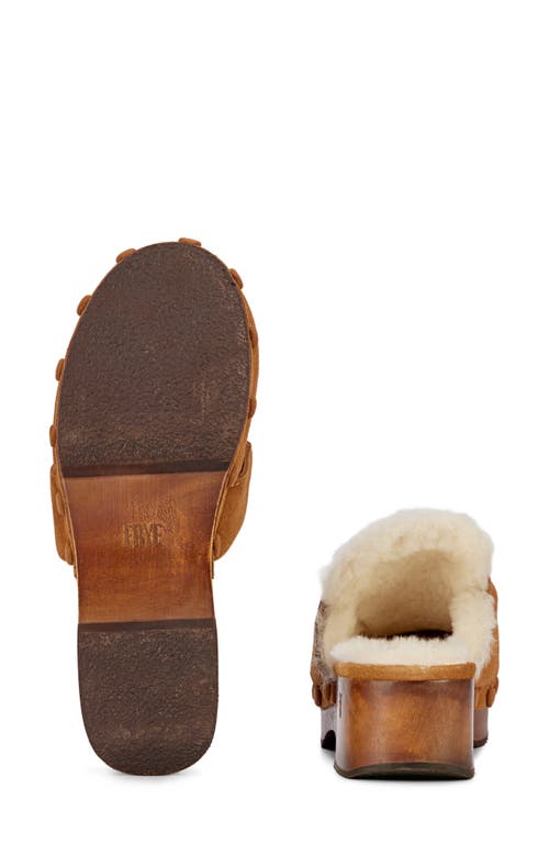 Frye Melody Genuine Shearling Lined Platform Clog In Brown
