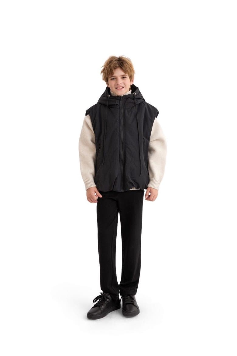 Hooded Puffer Vest, Alternate, color, Black