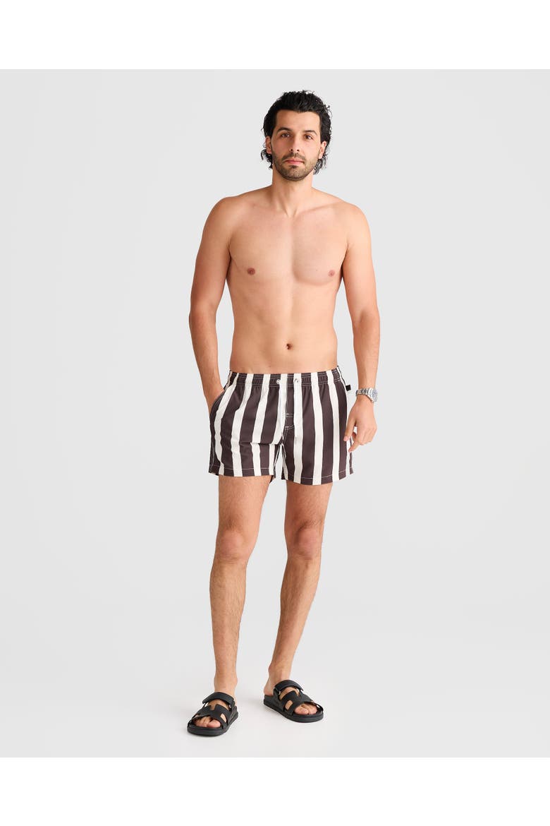 Faro Stretch Swim Short, Alternate, color, Brown & White Thick Stripe