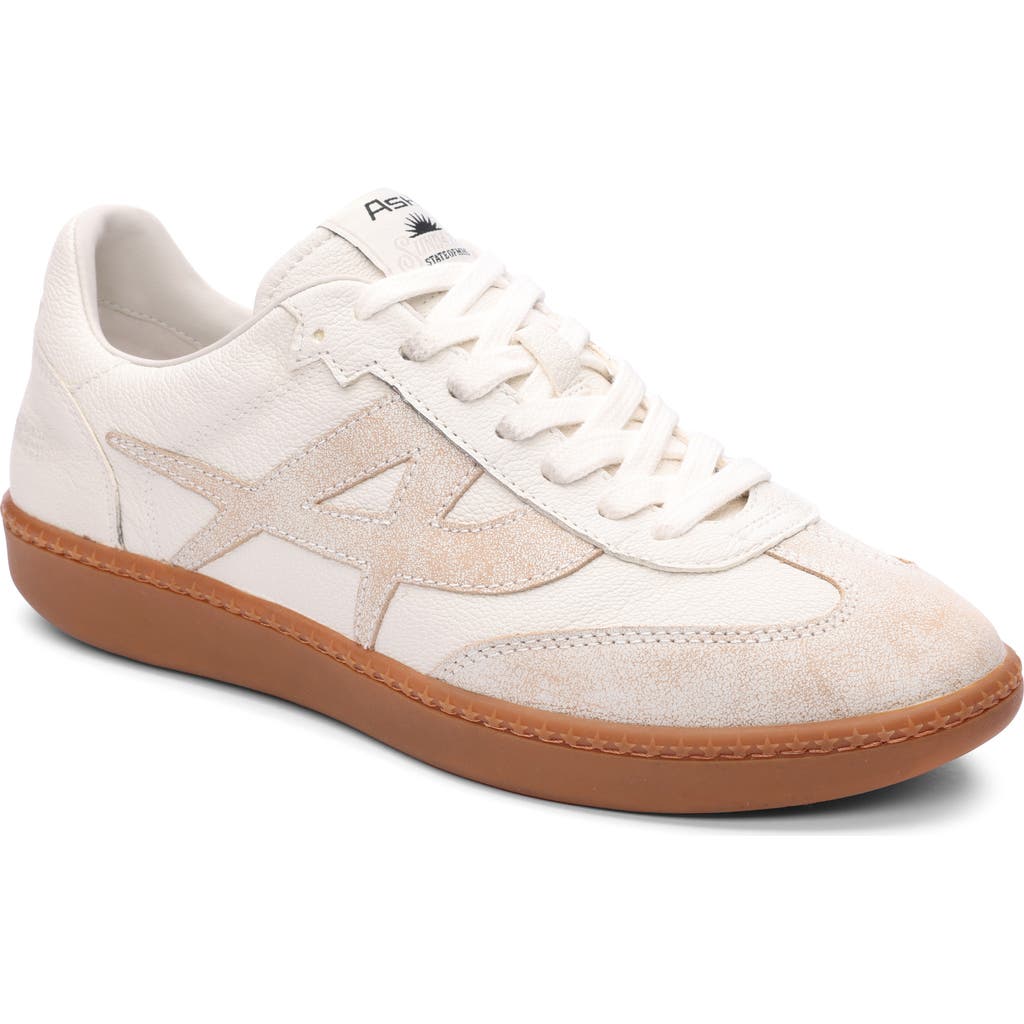 Ash Sunset Retro Sneaker in Beige-White/white at Nordstrom, Size 37