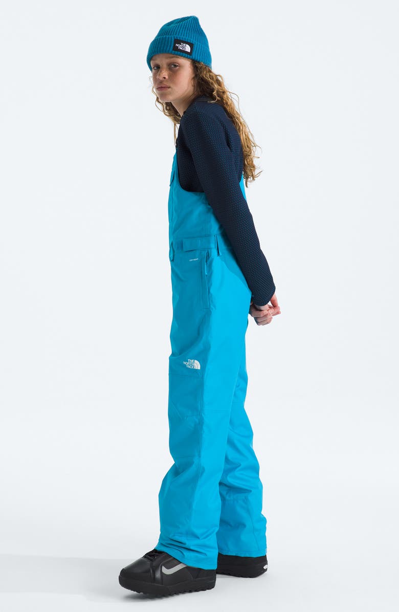 The North Face Kids' Freedom Waterproof Insulated Recycled Polyester Snow Bib, Alternate, color, Meridian Blue