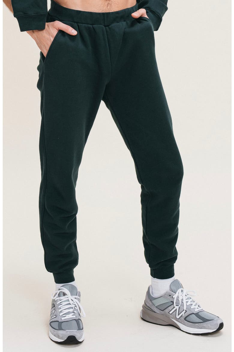 Men's Organic Cotton Teddy Everywhere Jogger, Alternate, color, Grove