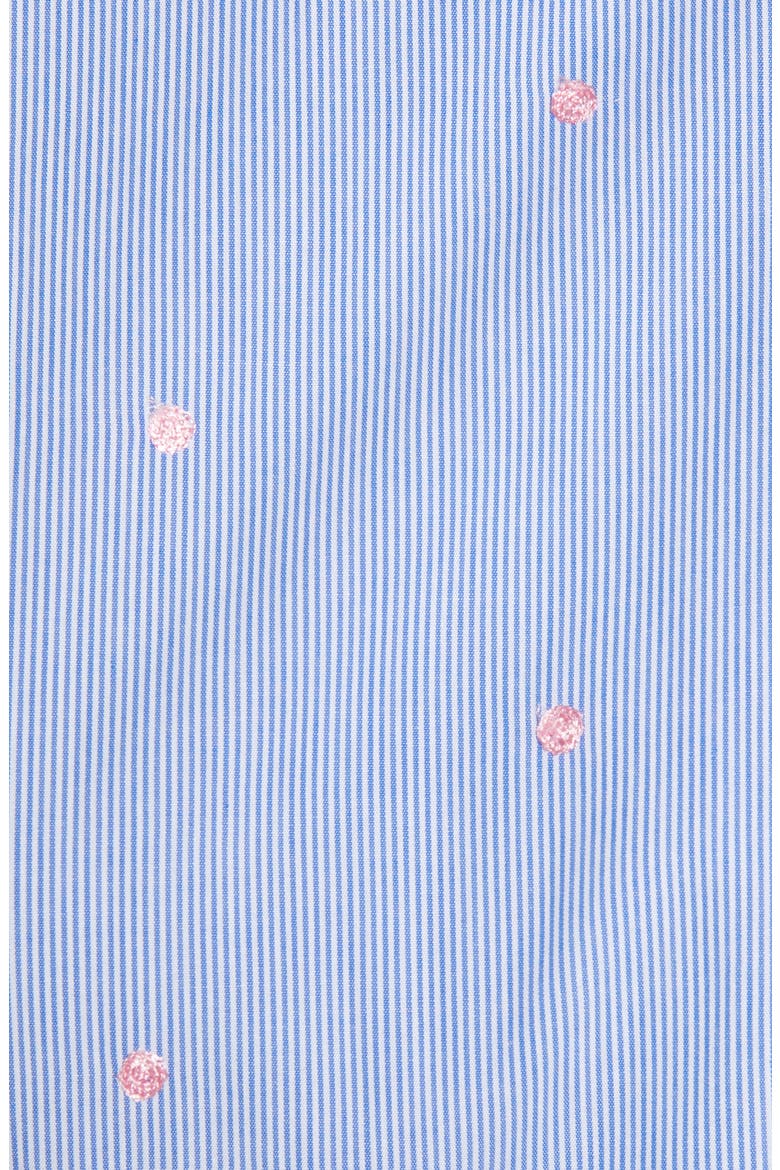 Pinstripe Embroidered Sleeveless Cotton Poplin Dress, Alternate, color, BLUE- PINK STRIPE DOT