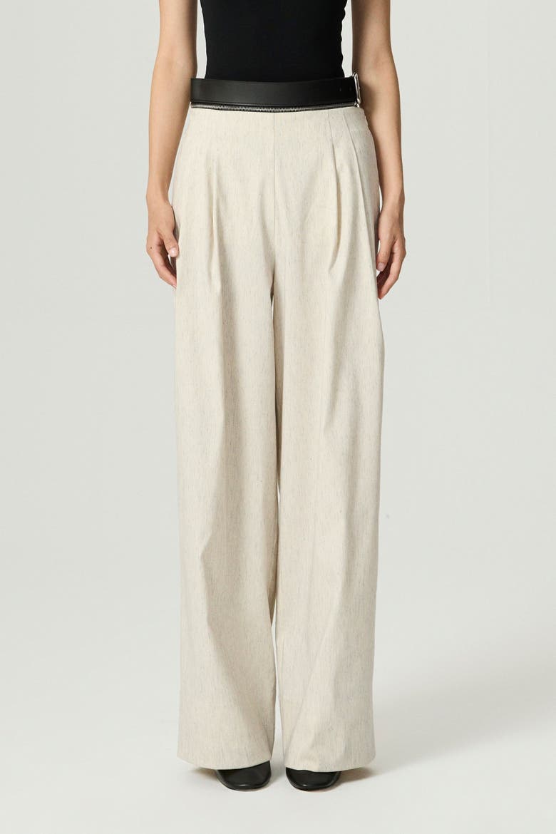 Pleated Wide-Leg Pants, Alternate, color, Ivory