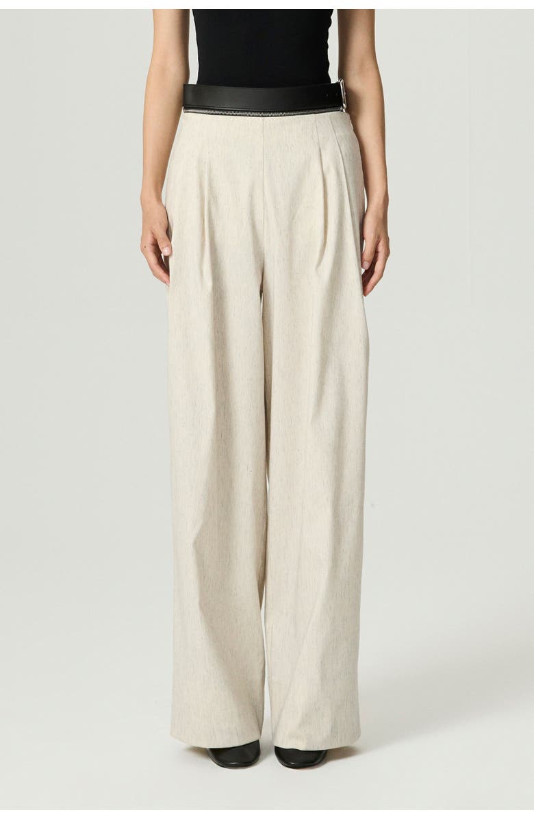 Nocturne Pleated Wide-Leg Pants, Alternate, color, Ivory