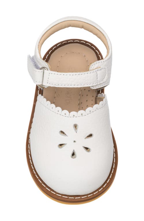 Elephantito Bellis Sandal In White