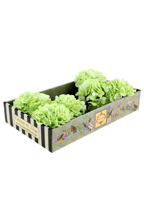 Vibrant Hydrangea Natural Touch, Box of 6