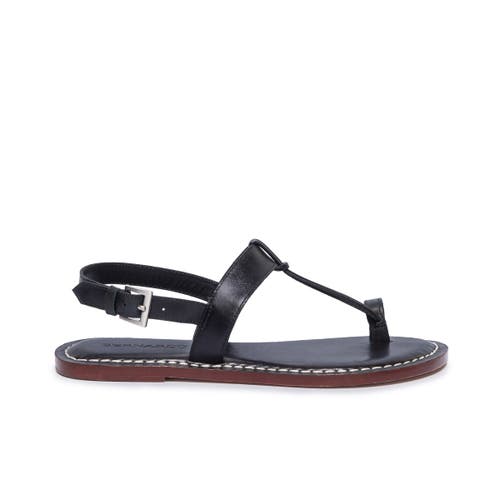 Shop Bernardo Footwear Maverick 2 Toe Ring Sandal In Black