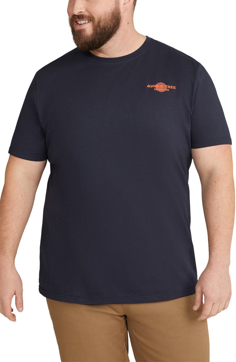 Johnny Bigg Joshua Tree Organic Cotton Graphic T-Shirt, Main, color, 