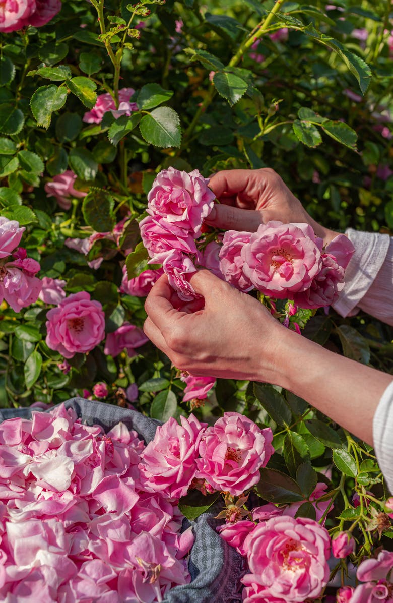 Ember Wellness 02 Hydrosol Face Mist, Alternate, color,