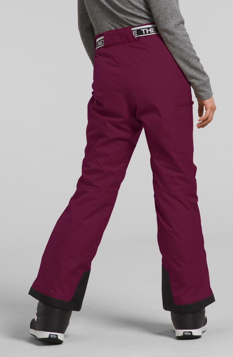 The North Face Kids' Freedom Waterproof Insulated Pants, Alternate, color, Boysenberry