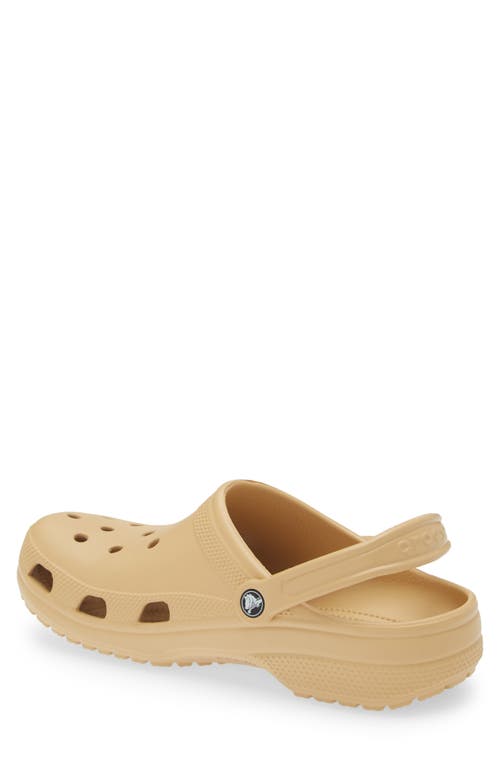Crocs Mens  Classic Clogs In Wheat