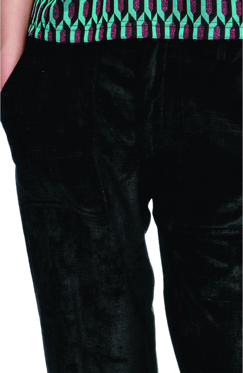 Anna Sui Velour Pants, Alternate, color, Black