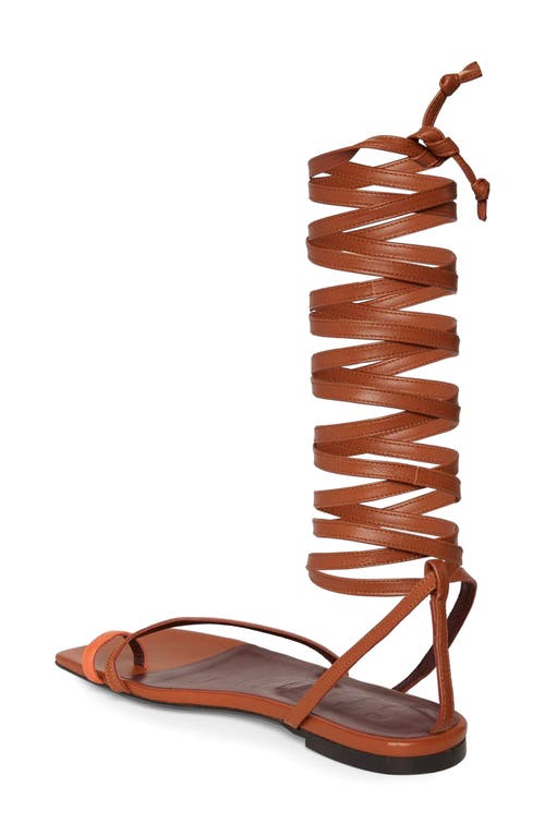 Staud Nicola Gladiator Sandal In Blood Orange Tan