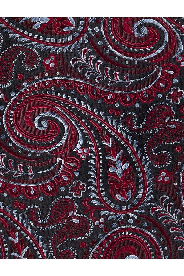 Big & Tall Exquisite Paisley Tie, Alternate, color, BURGUNDY