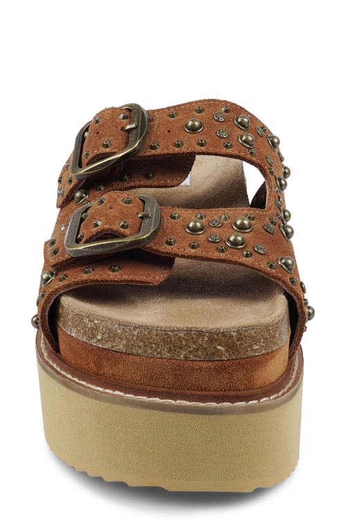 Zigi Studded Platform Sandal In Brown