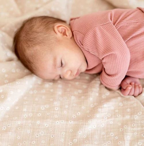 Ely's & Co. Cotton Muslin Swaddle Blanket 1 Pack In Multi