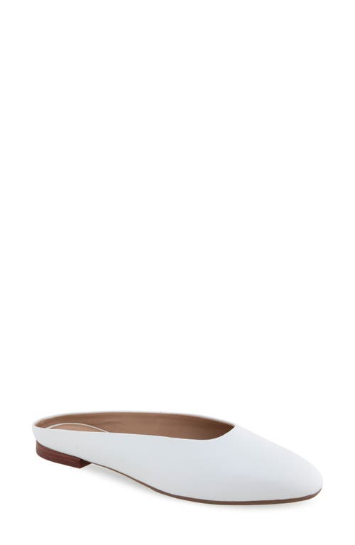 AEROSOLES AEROSOLES AMARA MULE