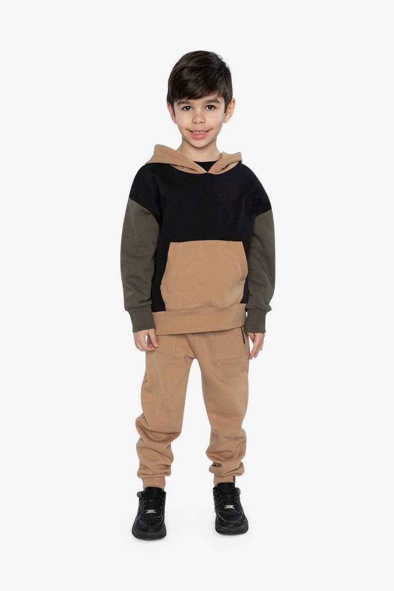 Hooded Colorblock Kangaroo Pocket Fleece Cardigan, Alternate, color, Black, Green and Beige