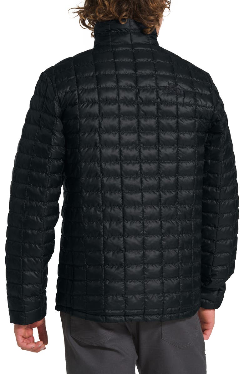 The North Face ThermoBall<sup>™</sup> Eco Packable Jacket, Alternate, color, 