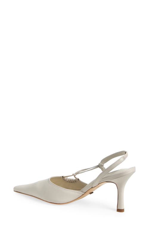 Tony Bianco Sakai Slingback Pointed Toe Pump In Dove Nappa