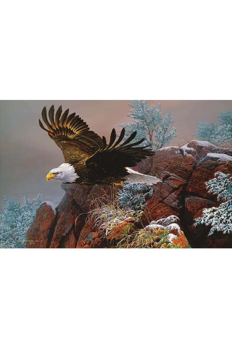 Wind Surfer 1000 piece Jigsaw Puzzle for Adults, Alternate, color, Multicolor