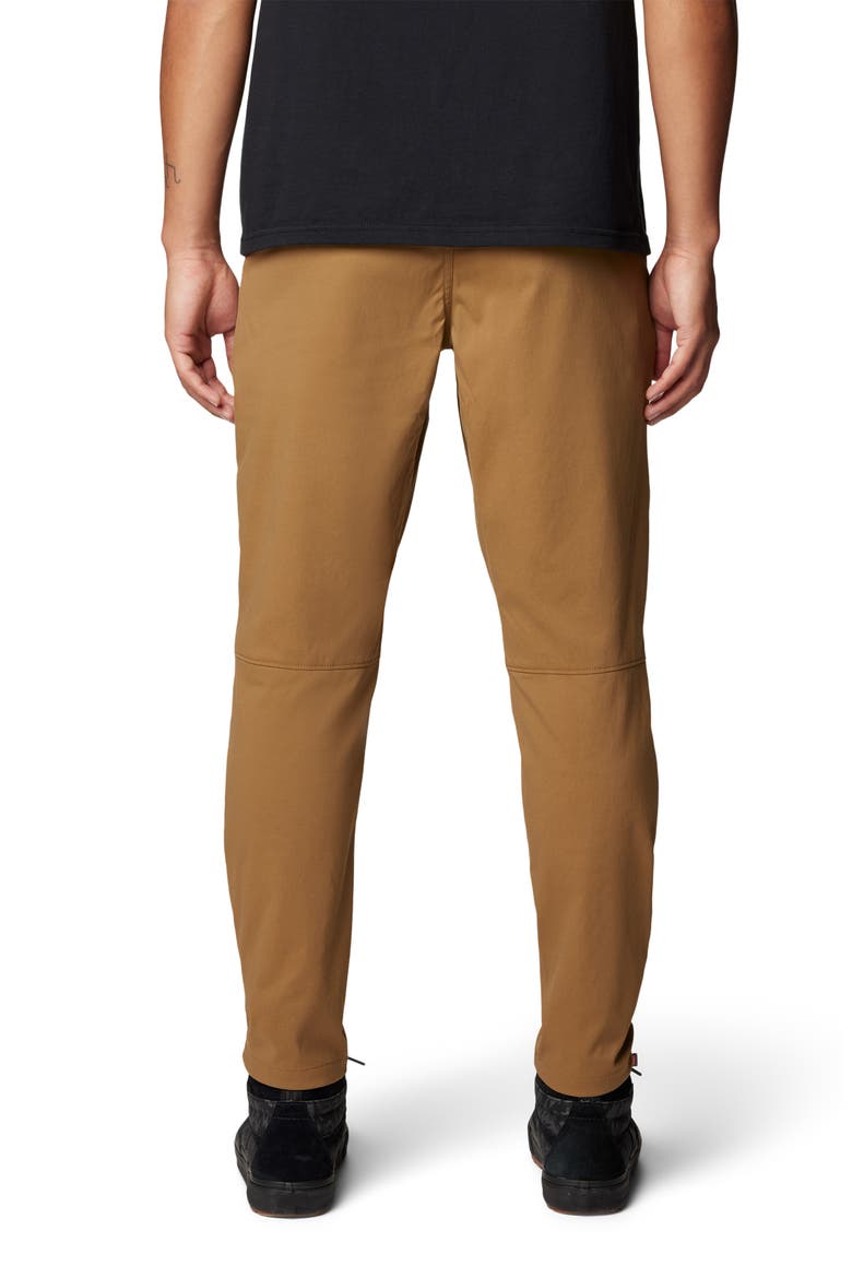 Hardwear All Purpose Active Pants, Alternate, color, COROZO NUT