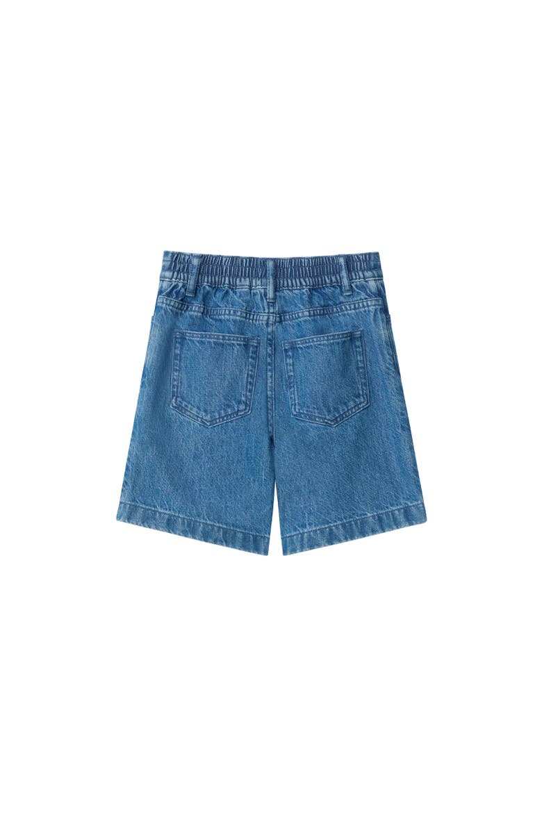 Denim Shorts, Alternate, color, Vintage denim