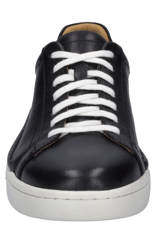 Josef Seibel Cleve 2 Sneaker In Black