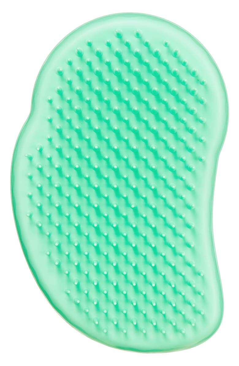 Tangle Teezer Mini Original Detangling Hairbrush, Main, color, 