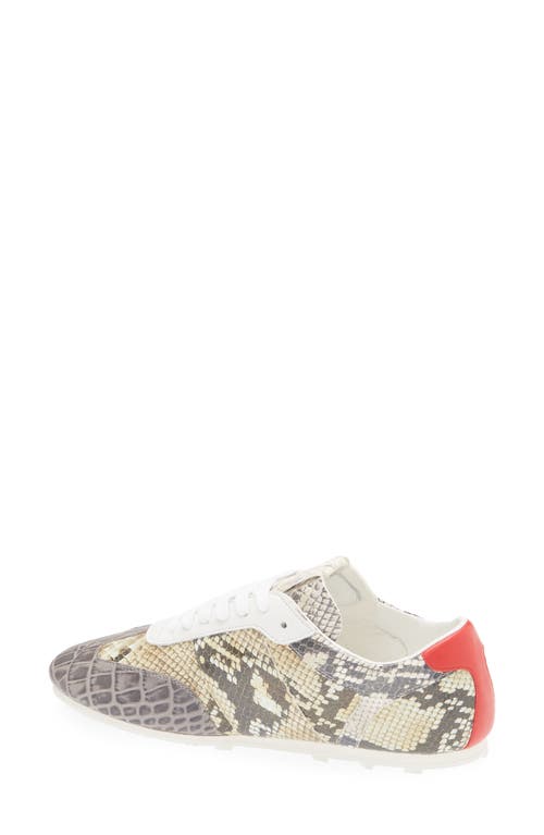 Marni Low Profile Sneaker In Multi