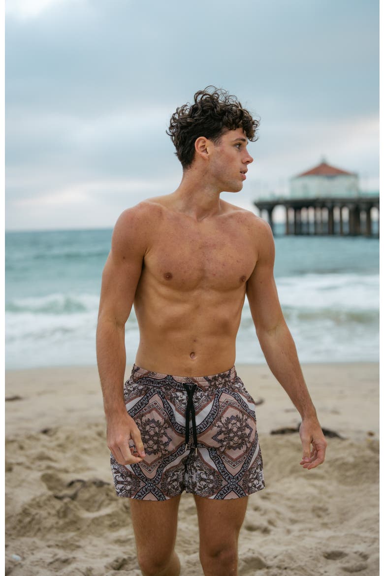 Bruno Shorts, Alternate, color, Brown Mosaic