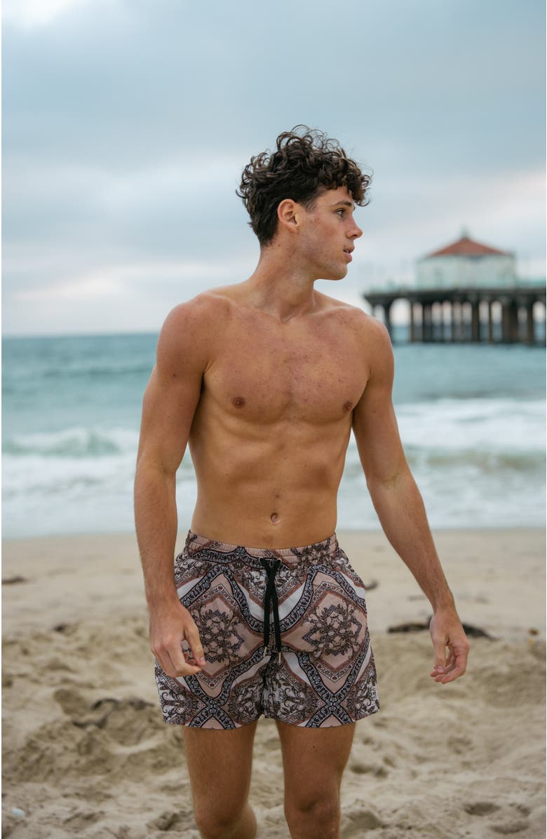 Ivy Swimwear Bruno Shorts, Alternate, color, Brown Mosaic