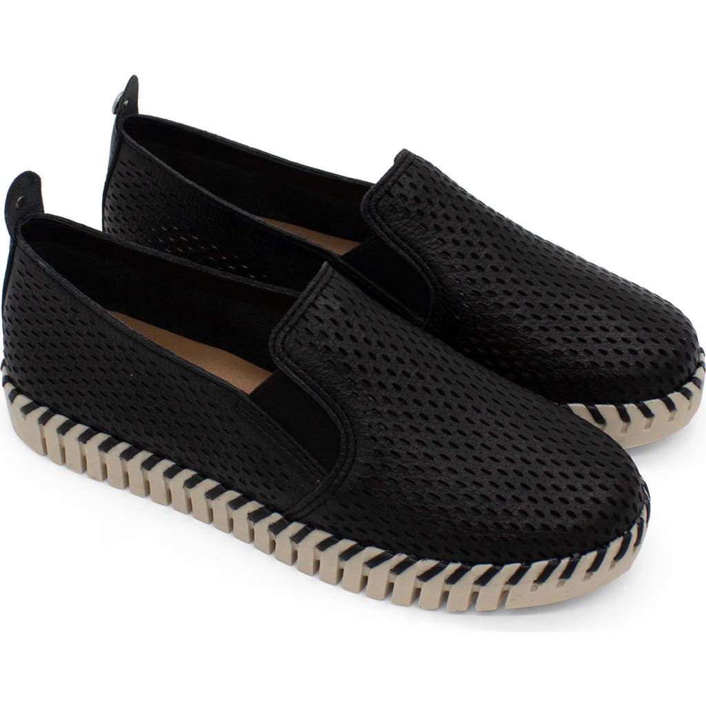 Bottero Bottwister Verao Slip-on Sneaker