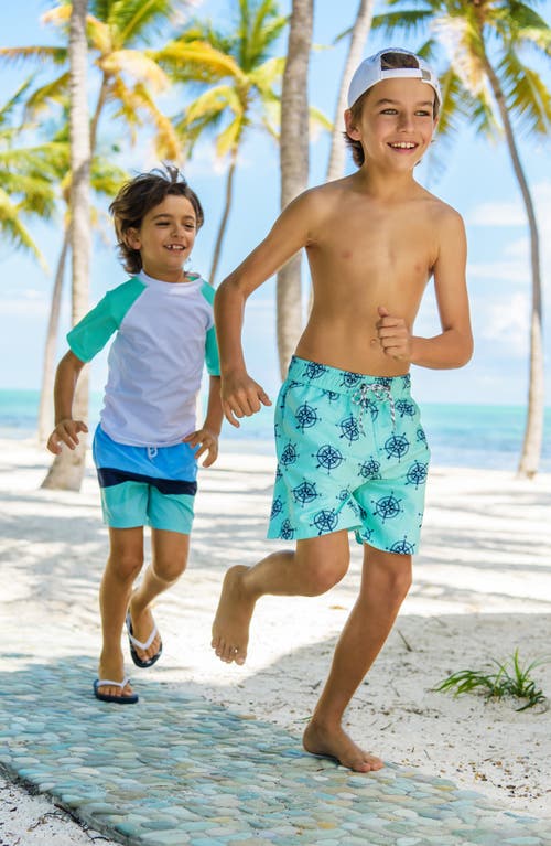 Snapper Rock Little Boy's & Boy's Compass Board Shorts In Green