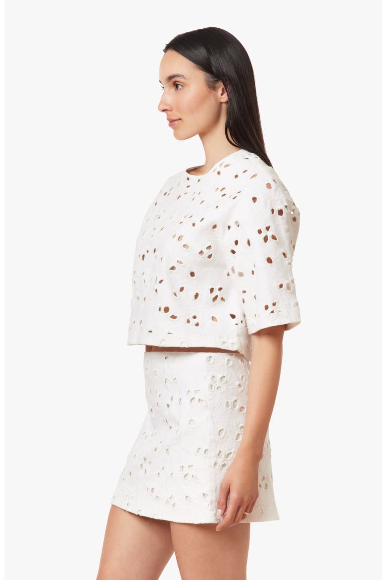 Embroidered Eyelet Crop Top, Alternate, color, WHITE
