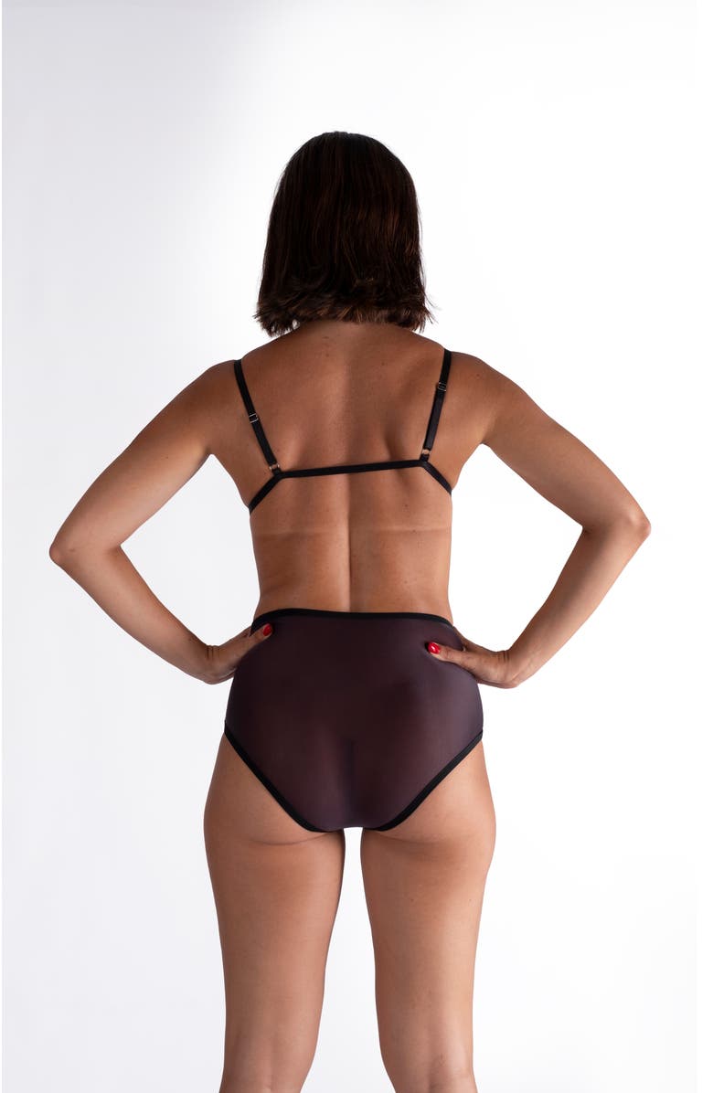 LECHERY<sup>®</sup> Lustrous Sheer High-waisted Brief, Alternate, color, Black