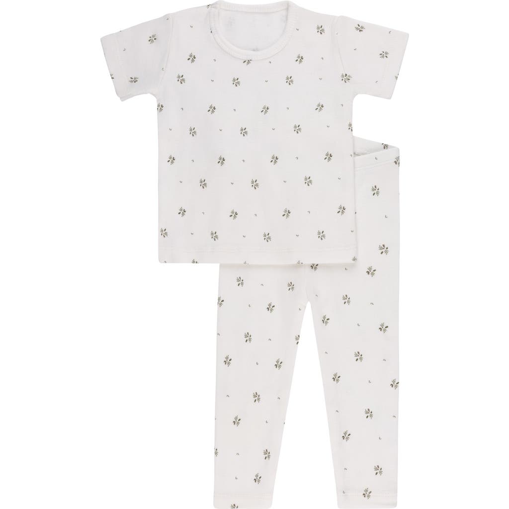Ely's & Co. Floral Print Collection In Gray