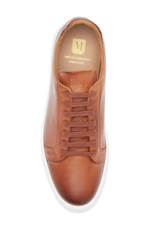 Bruno Magli Magnifico Low Top Sneaker In Cognac