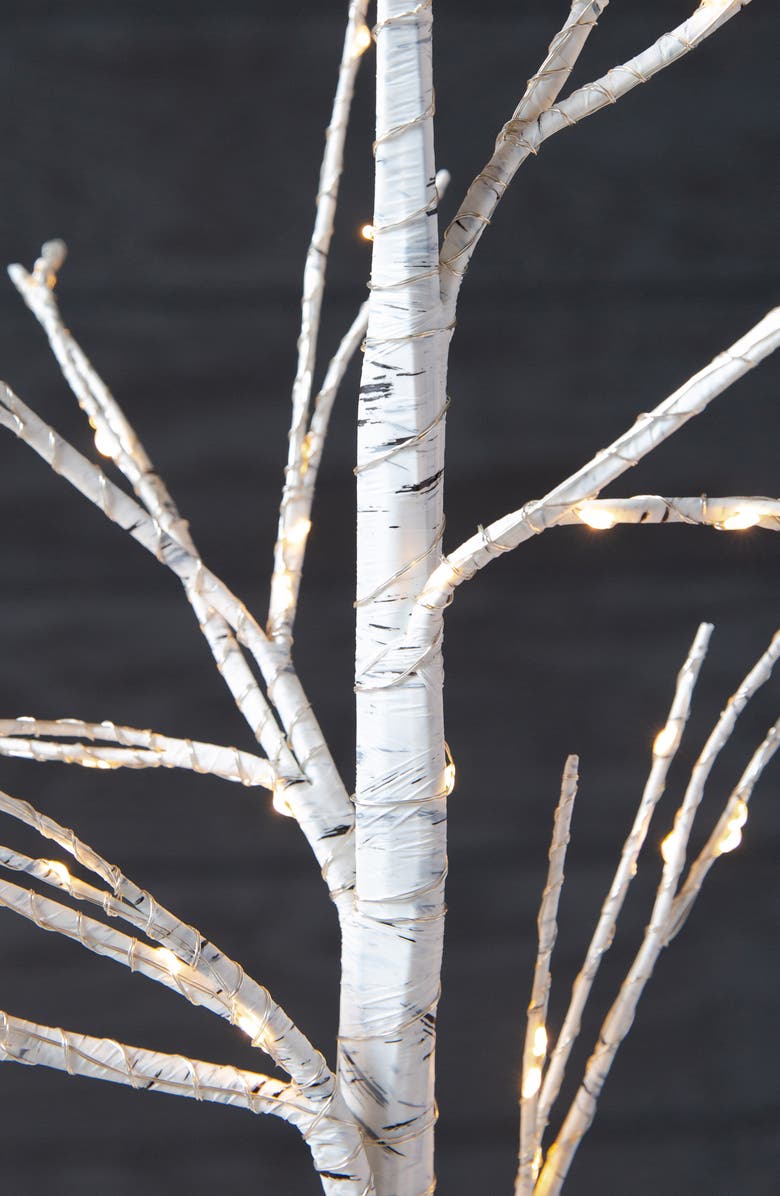 Balsam Hill Winter Birch LED Tree, Alternate, color, 