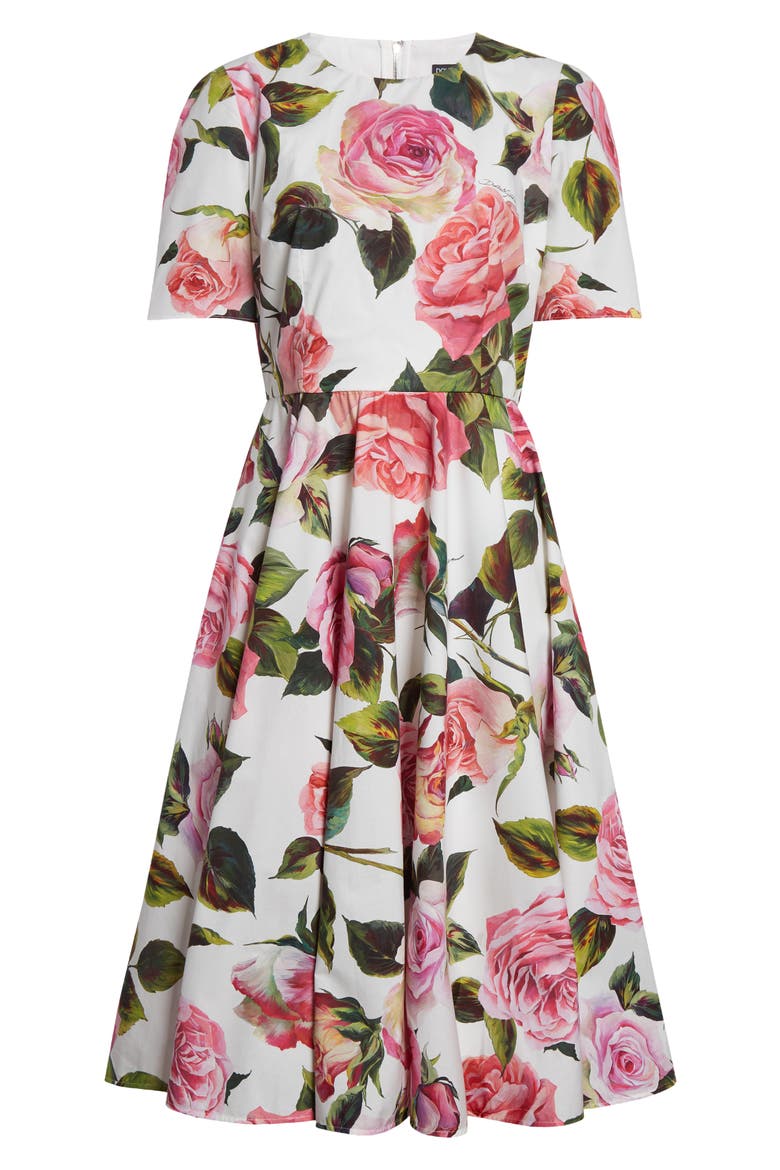 Rose Print Cotton Fit & Flare Dress, Alternate, color, ROSE ROSA FLORAL.BIANCO