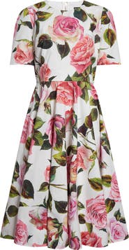 Dolce&Gabbana Rose Print Cotton Fit & Flare Dress