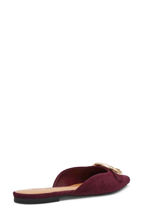 Steve Madden Ira Pointed Toe Mule