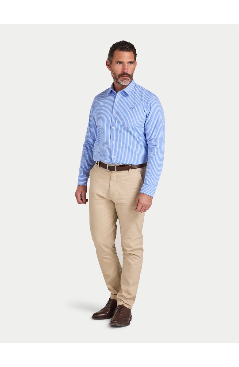 Raging Bull Long Sleeve Stripe Shirt, Alternate, color, Mid Blue