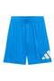  Ray Blue