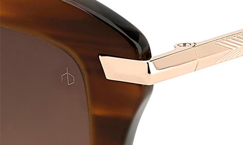 Rag & Bone 53mm Cat Eye Sunglasses In Brown