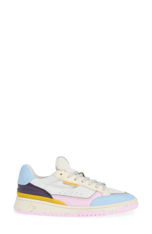 Oncept Paris Low Top Sneaker In Orchid Multi