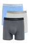 Assorted 3-Pack Boxer Briefs