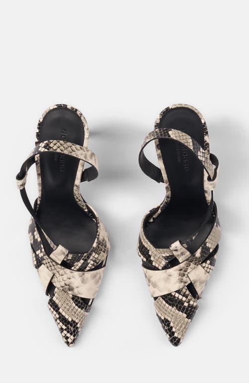 Scarosso Athena Pumps