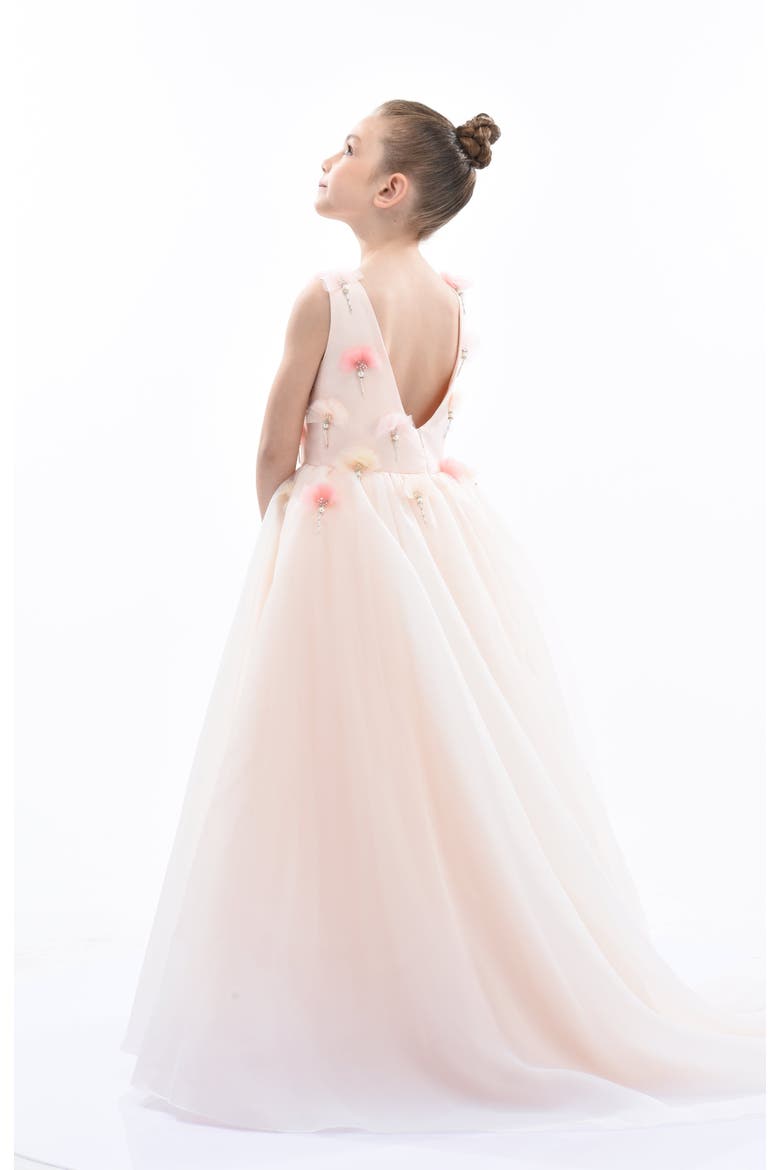 Magnolia Princess Gown, Alternate, color, Pink